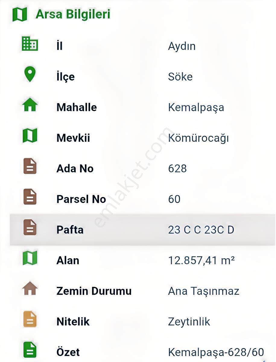 Söke Kemalpaşa Mahallesinde Satılık 12857 M² Zeytinlik Ve Ev — fotoğraf 9