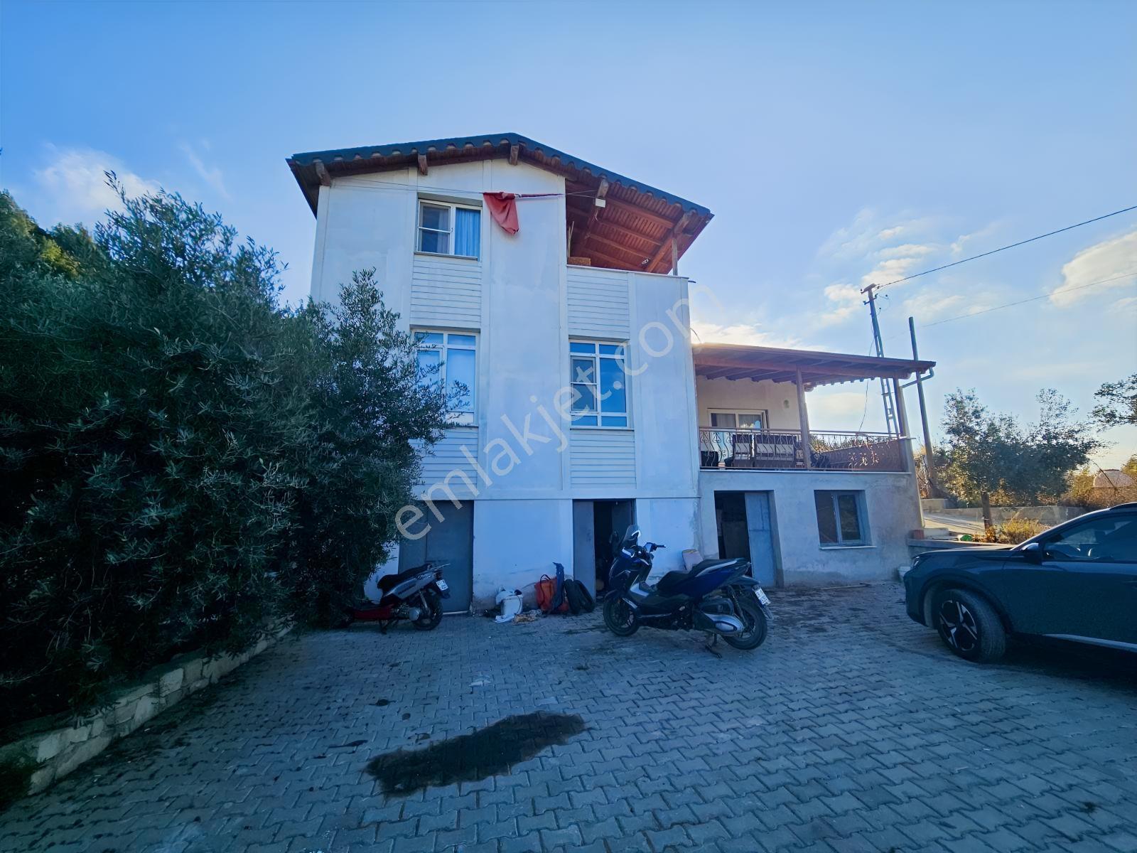 Söke Kemalpaşa Mahallesinde Satılık 12857 M² Zeytinlik Ve Ev — fotoğraf 10