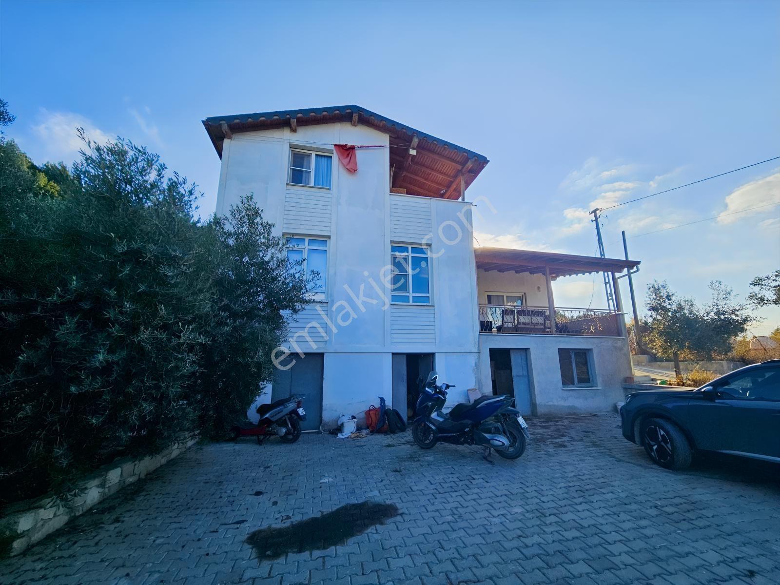 Söke Kemalpaşa Mahallesinde Satılık 12857 M² Zeytinlik Ve Ev — fotoğraf 13