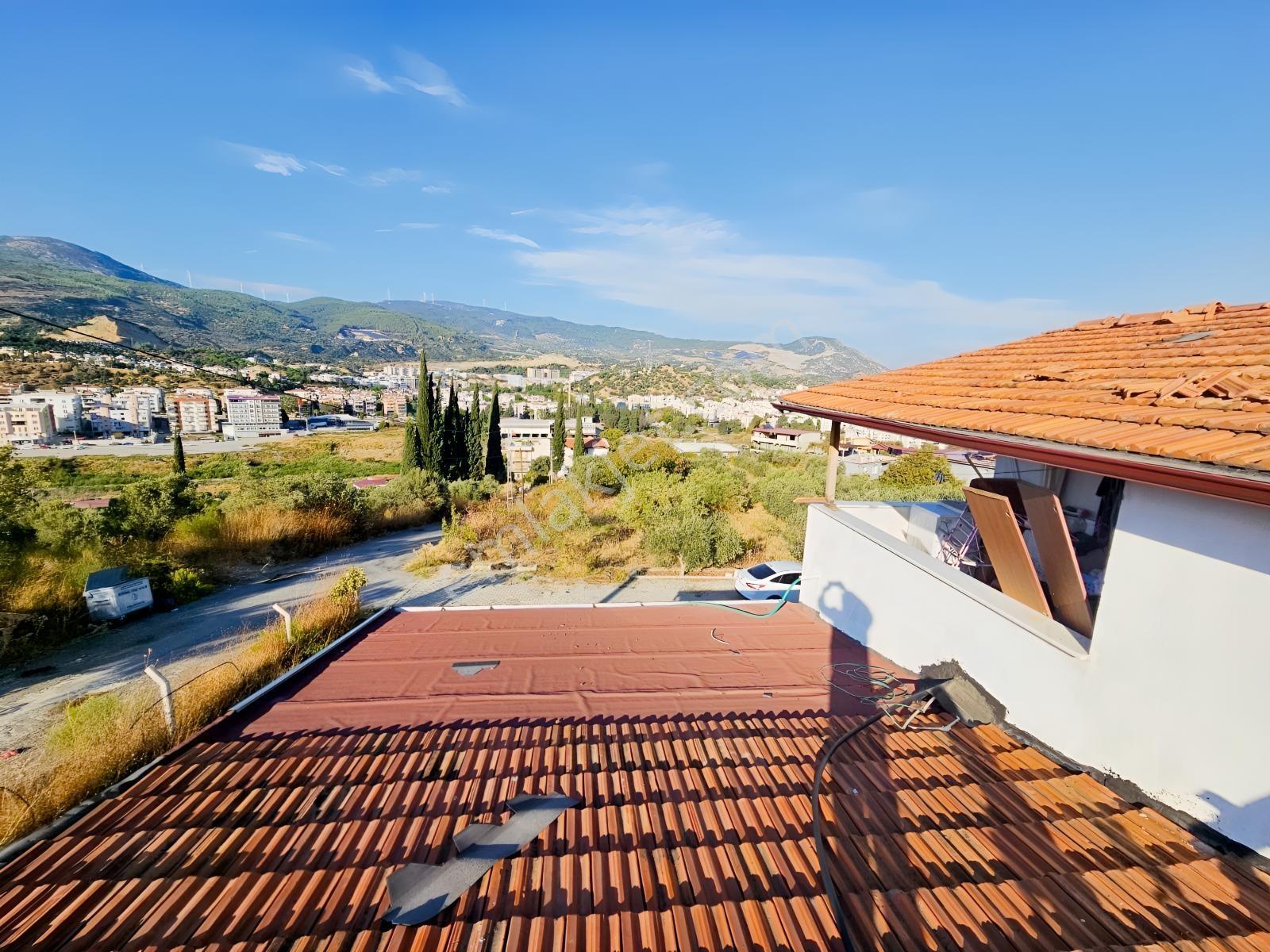 Söke Kemalpaşa Mahallesinde Satılık 12857 M² Zeytinlik Ve Ev — fotoğraf 17