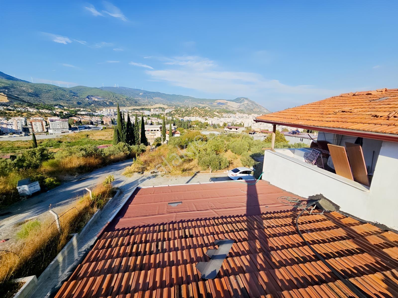 Söke Kemalpaşa Mahallesinde Satılık 12857 M² Zeytinlik Ve Ev — fotoğraf 20