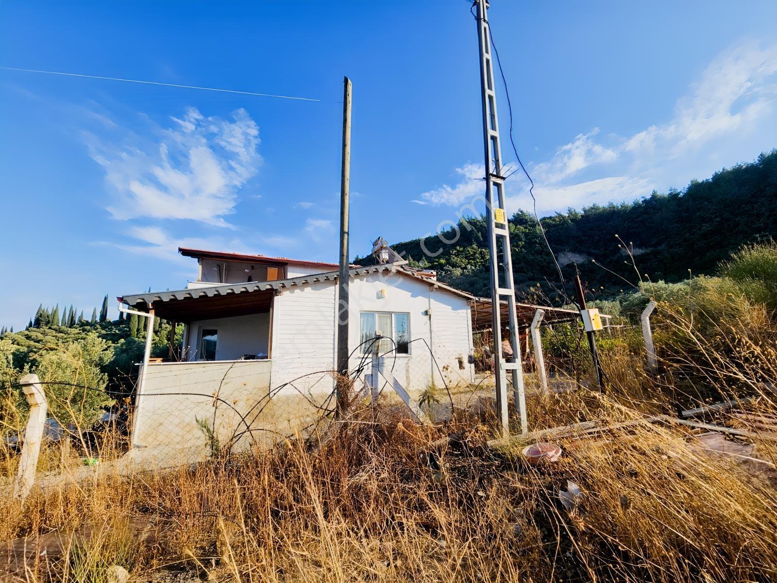 Söke Kemalpaşa Mahallesinde Satılık 12857 M² Zeytinlik Ve Ev — fotoğraf 24