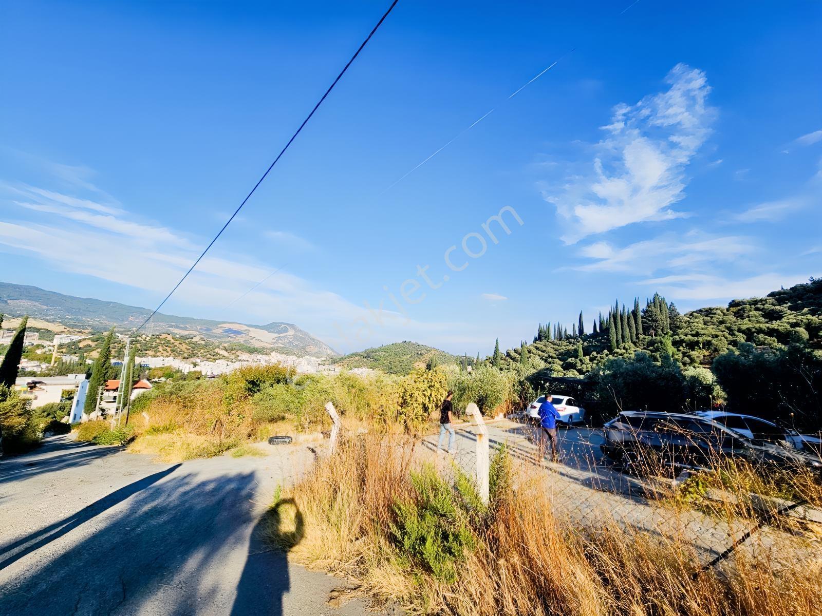Söke Kemalpaşa Mahallesinde Satılık 12857 M² Zeytinlik Ve Ev — fotoğraf 25