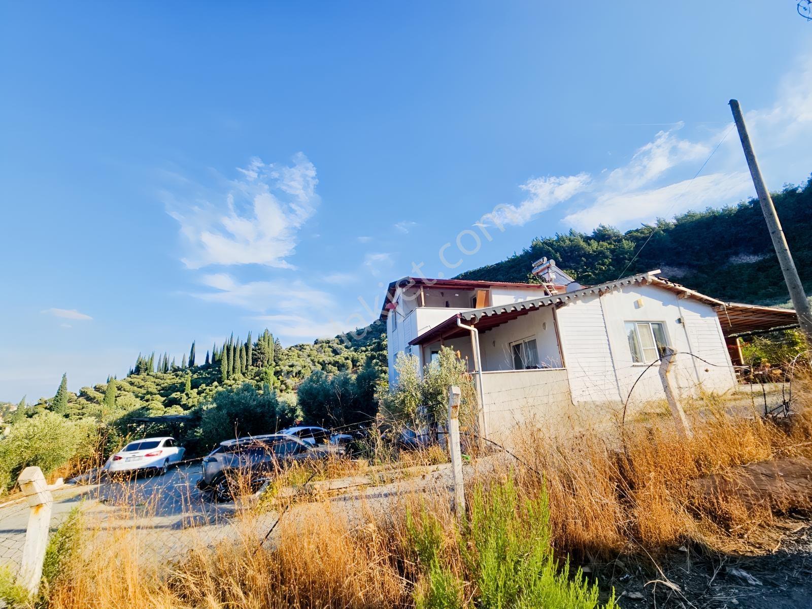 Söke Kemalpaşa Mahallesinde Satılık 12857 M² Zeytinlik Ve Ev — fotoğraf 26