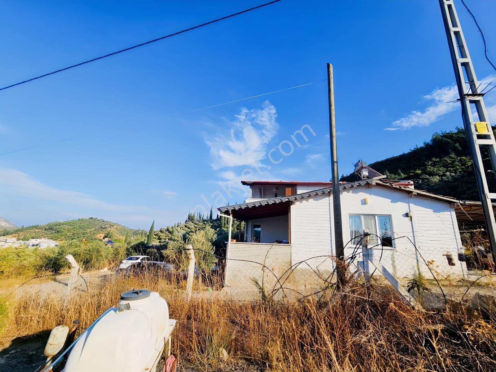 Söke Kemalpaşa Mahallesinde Satılık 12857 M² Zeytinlik Ve Ev — fotoğraf 27