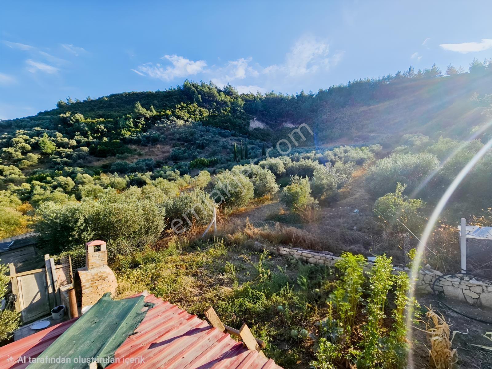 Söke Kemalpaşa Mahallesinde Satılık 12857 M² Zeytinlik Ve Ev — fotoğraf 29