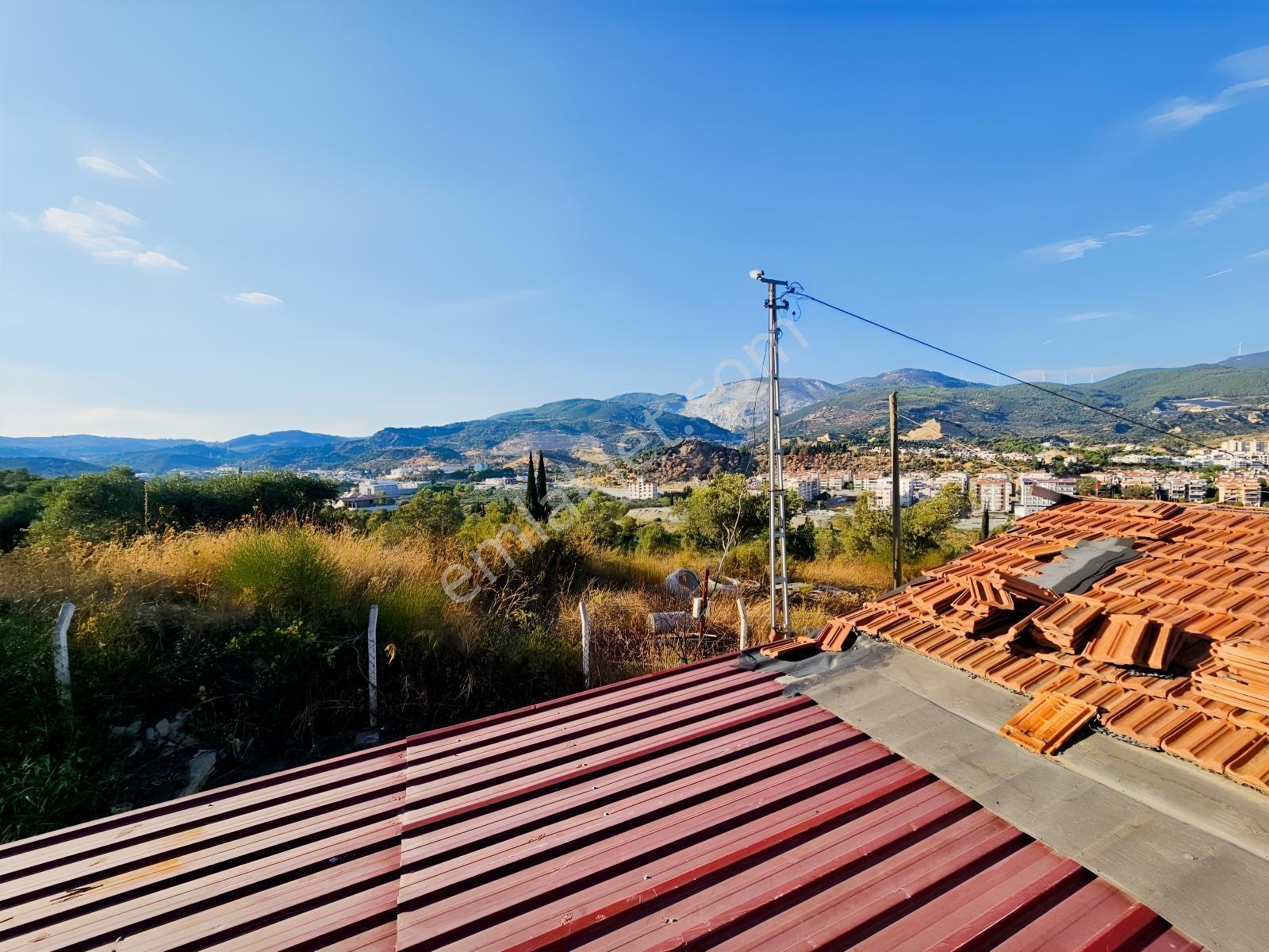 Söke Kemalpaşa Mahallesinde Satılık 12857 M² Zeytinlik Ve Ev — fotoğraf 30
