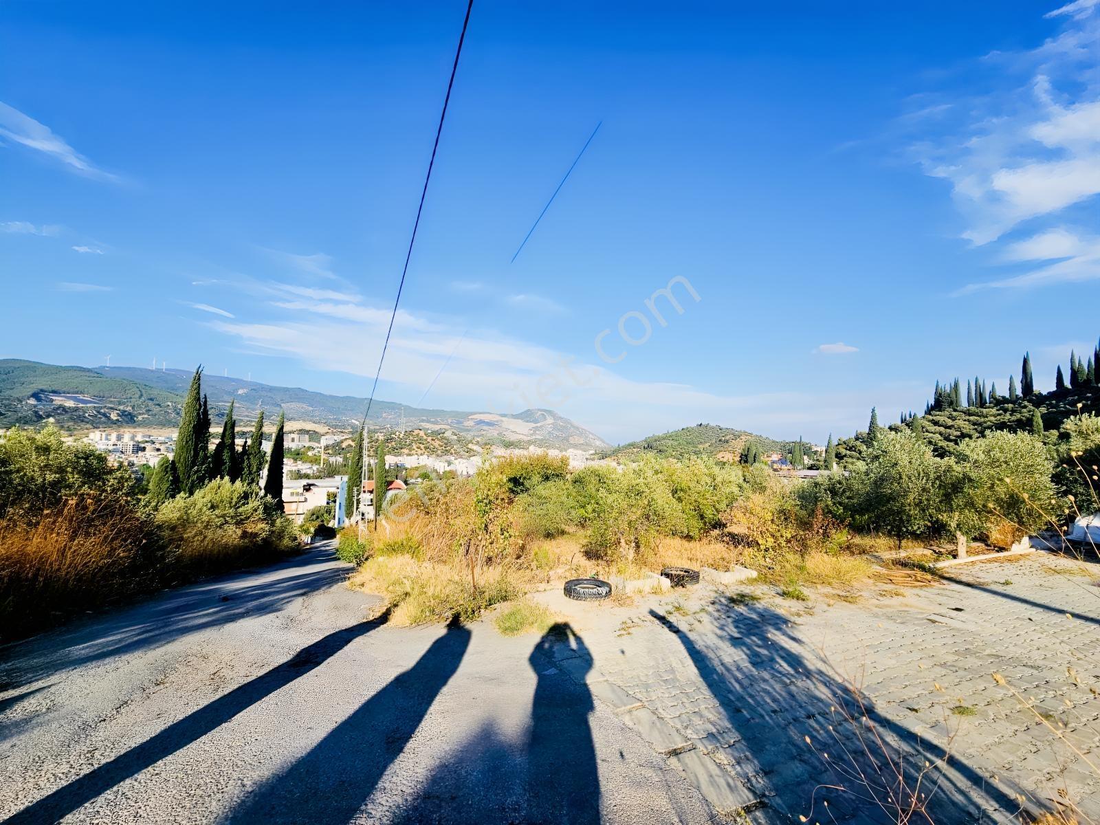 Söke Kemalpaşa Mahallesinde Satılık 12857 M² Zeytinlik Ve Ev — fotoğraf 32