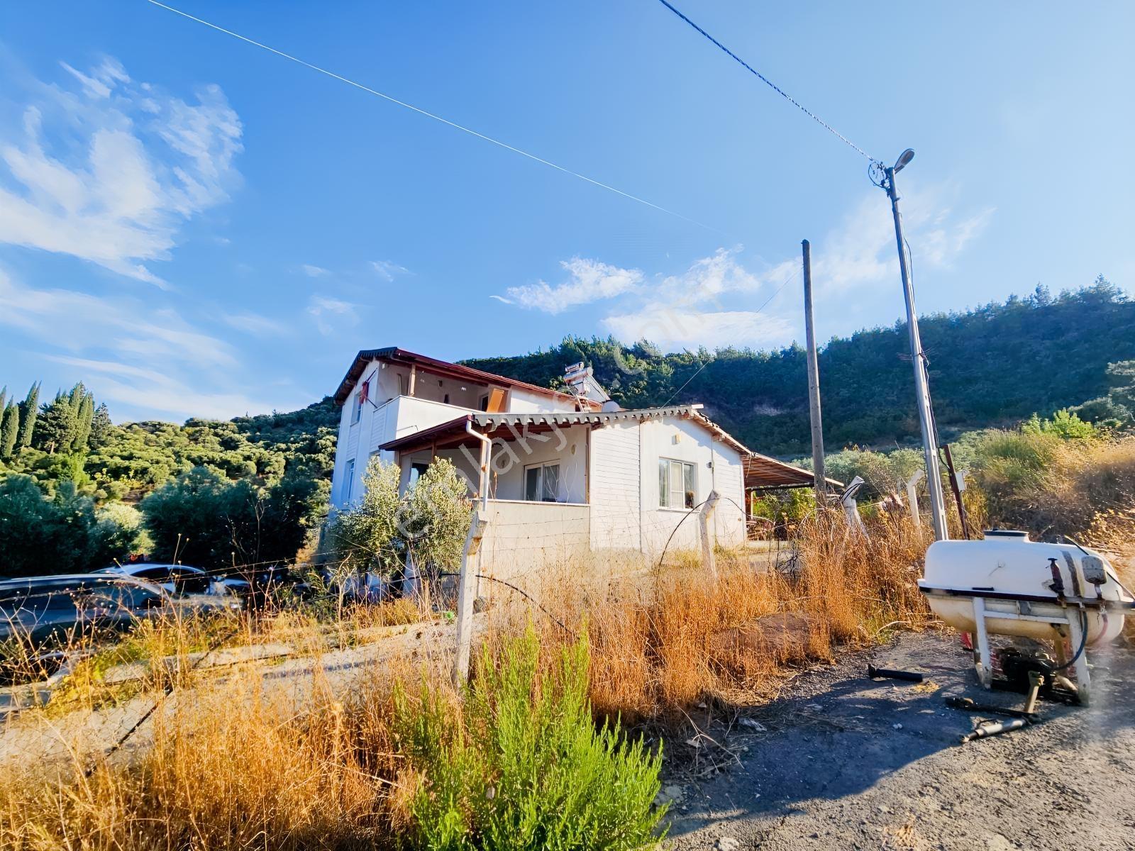 Söke Kemalpaşa Mahallesinde Satılık 12857 M² Zeytinlik Ve Ev — fotoğraf 33