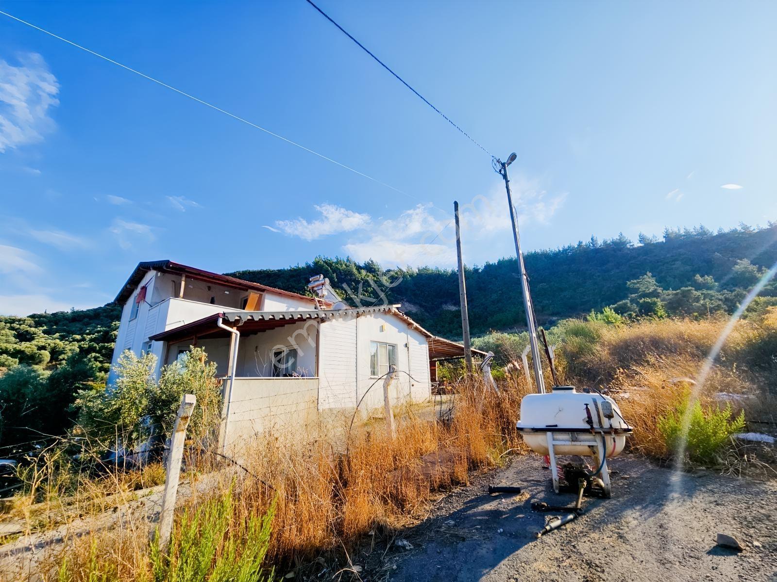 Söke Kemalpaşa Mahallesinde Satılık 12857 M² Zeytinlik Ve Ev — fotoğraf 34