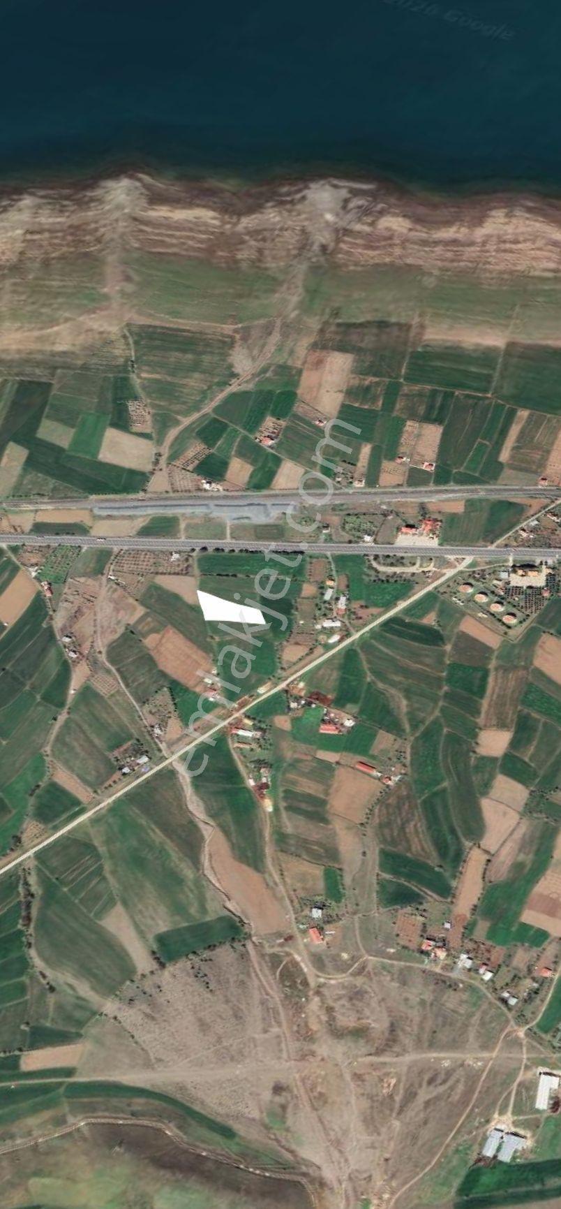 Emlakçı Yusuf Dan Korucu Köyünde Satlık Tarla — fotoğraf 3