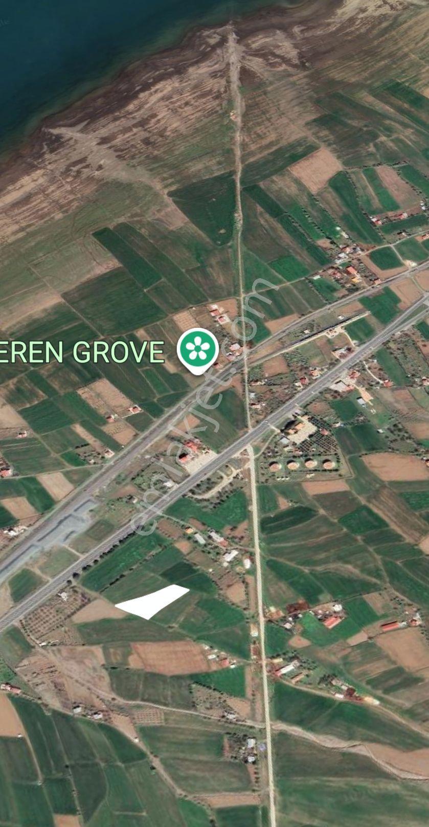 Emlakçı Yusuf Dan Korucu Köyünde Satlık Tarla — fotoğraf 4
