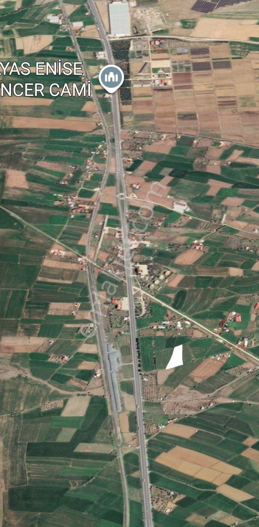 Emlakçı Yusuf Dan Korucu Köyünde Satlık Tarla — fotoğraf 6