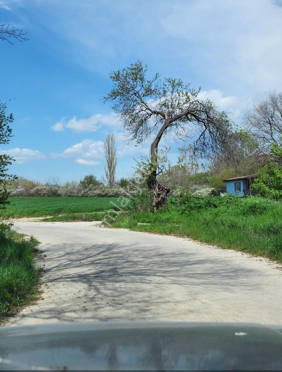 Kapaklı Yanıkağıl'da İmar İçinde 359 M² Meyve Ağaçlarıyla Dolu — fotoğraf 2