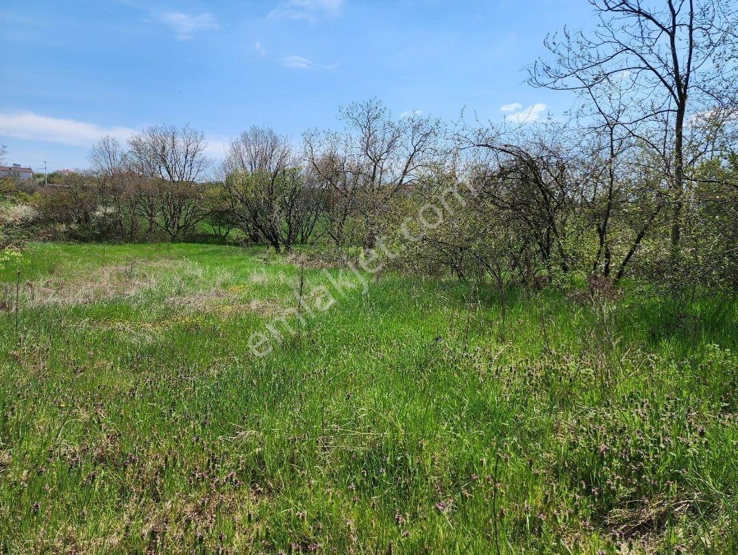 Kapaklı Yanıkağıl'da İmar İçinde 359 M² Meyve Ağaçlarıyla Dolu — fotoğraf 5