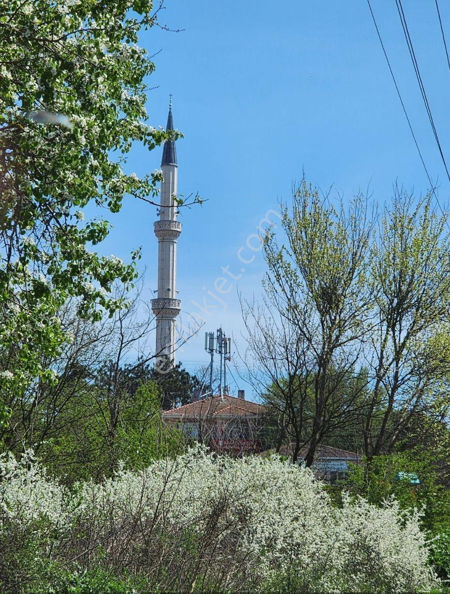 Kapaklı Yanıkağıl'da İmar İçinde 359 M² Meyve Ağaçlarıyla Dolu — fotoğraf 7