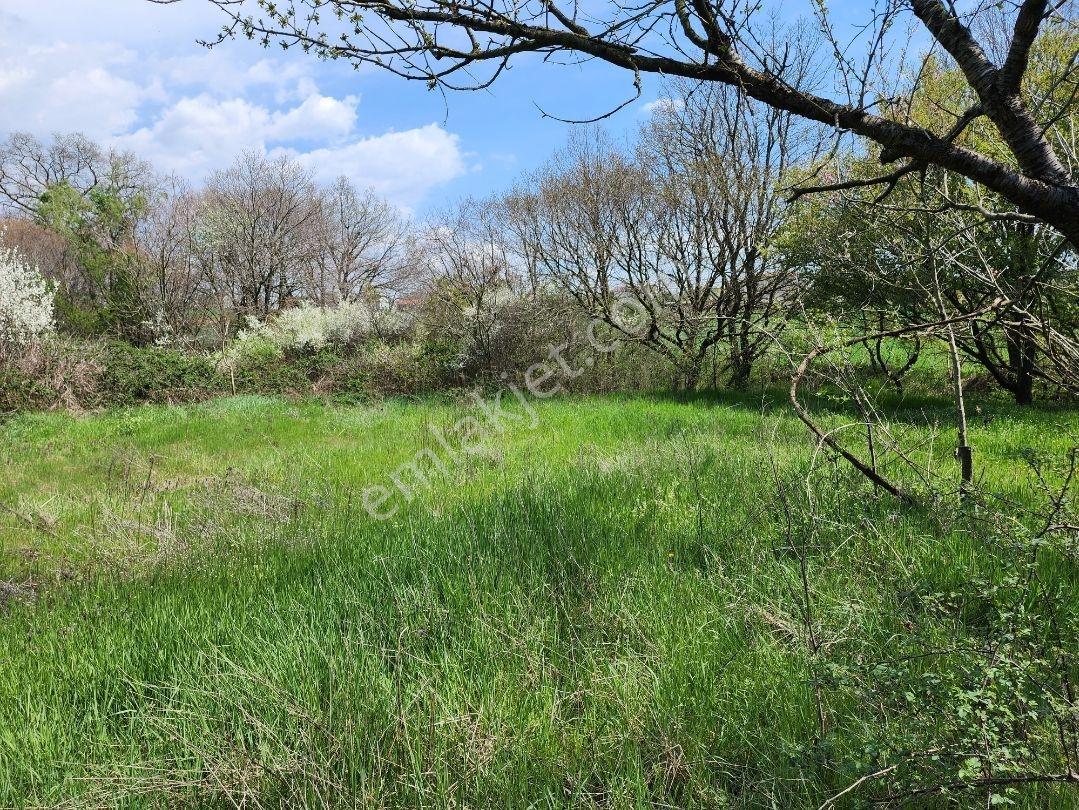 Kapaklı Yanıkağıl'da İmar İçinde 359 M² Meyve Ağaçlarıyla Dolu — fotoğraf 11