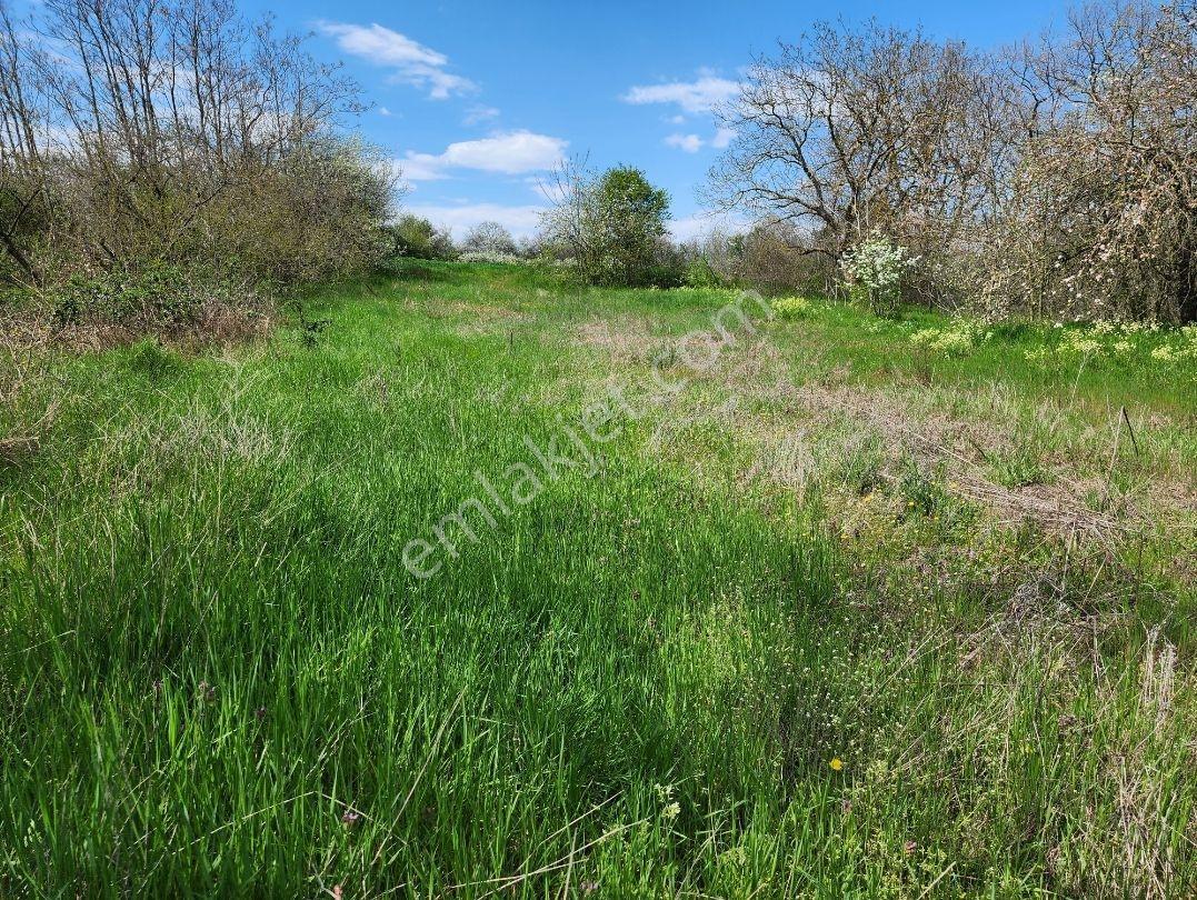 Kapaklı Yanıkağıl'da İmar İçinde 359 M² Meyve Ağaçlarıyla Dolu — fotoğraf 13