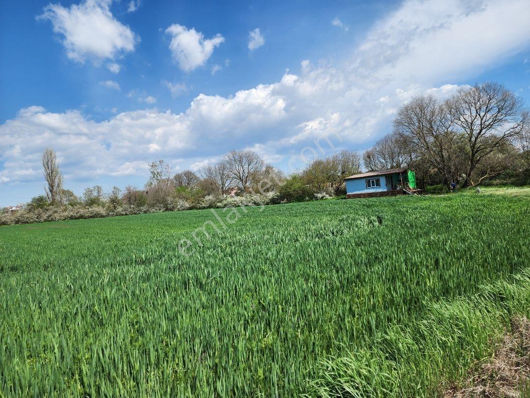 Kapaklı Yanıkağıl'da İmar İçinde 359 M² Meyve Ağaçlarıyla Dolu — fotoğraf 14
