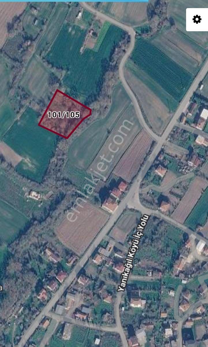 Kapaklı Yanıkağıl'da İmar İçinde 359 M² Meyve Ağaçlarıyla Dolu — fotoğraf 17