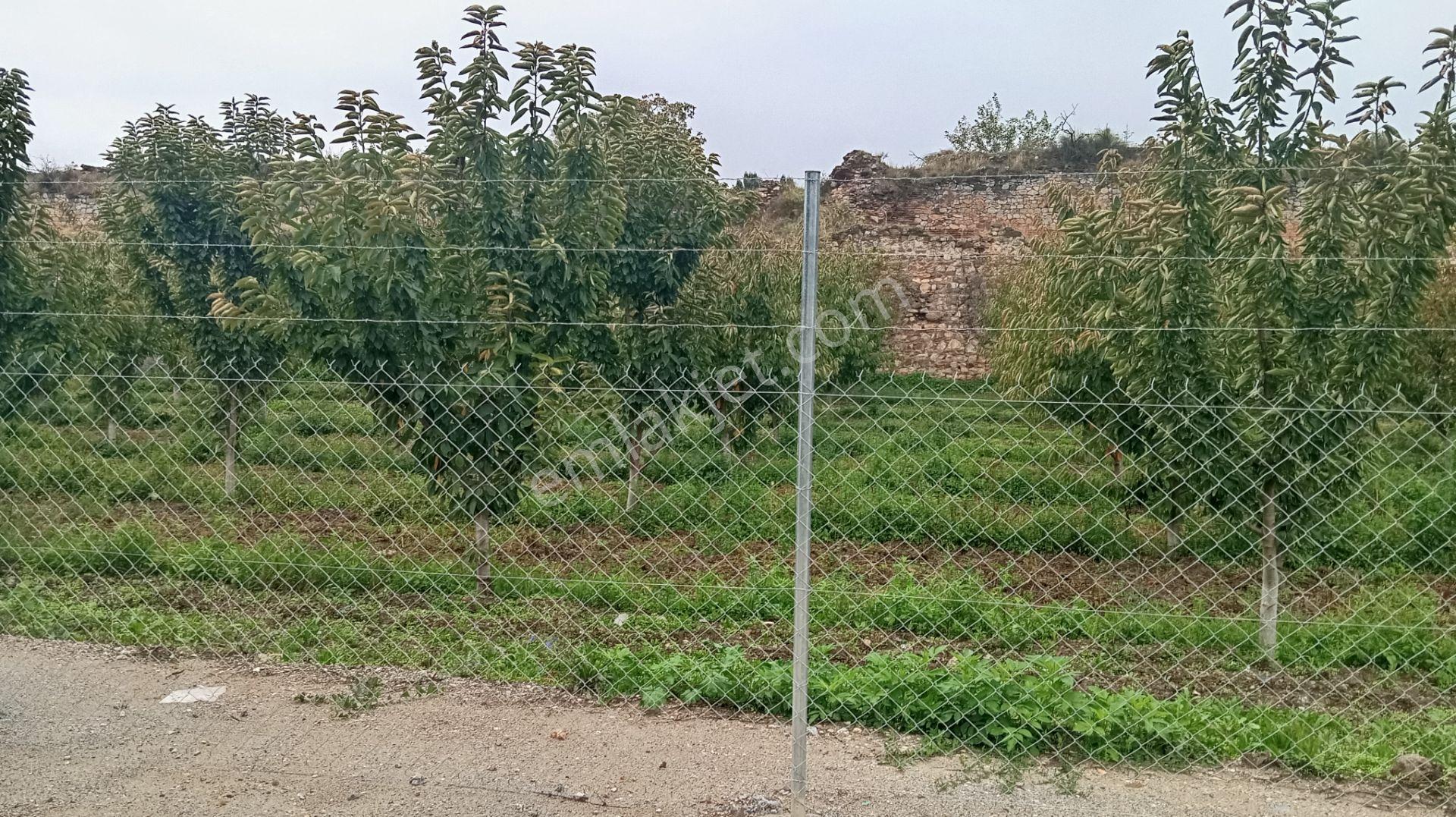 Akın Emlaktan İmarlı 260 M Karearsa — fotoğraf 10