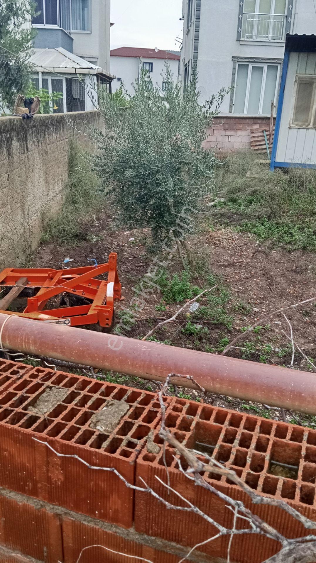 Akın Emlaktan İmarlı 260 M Karearsa — fotoğraf 12
