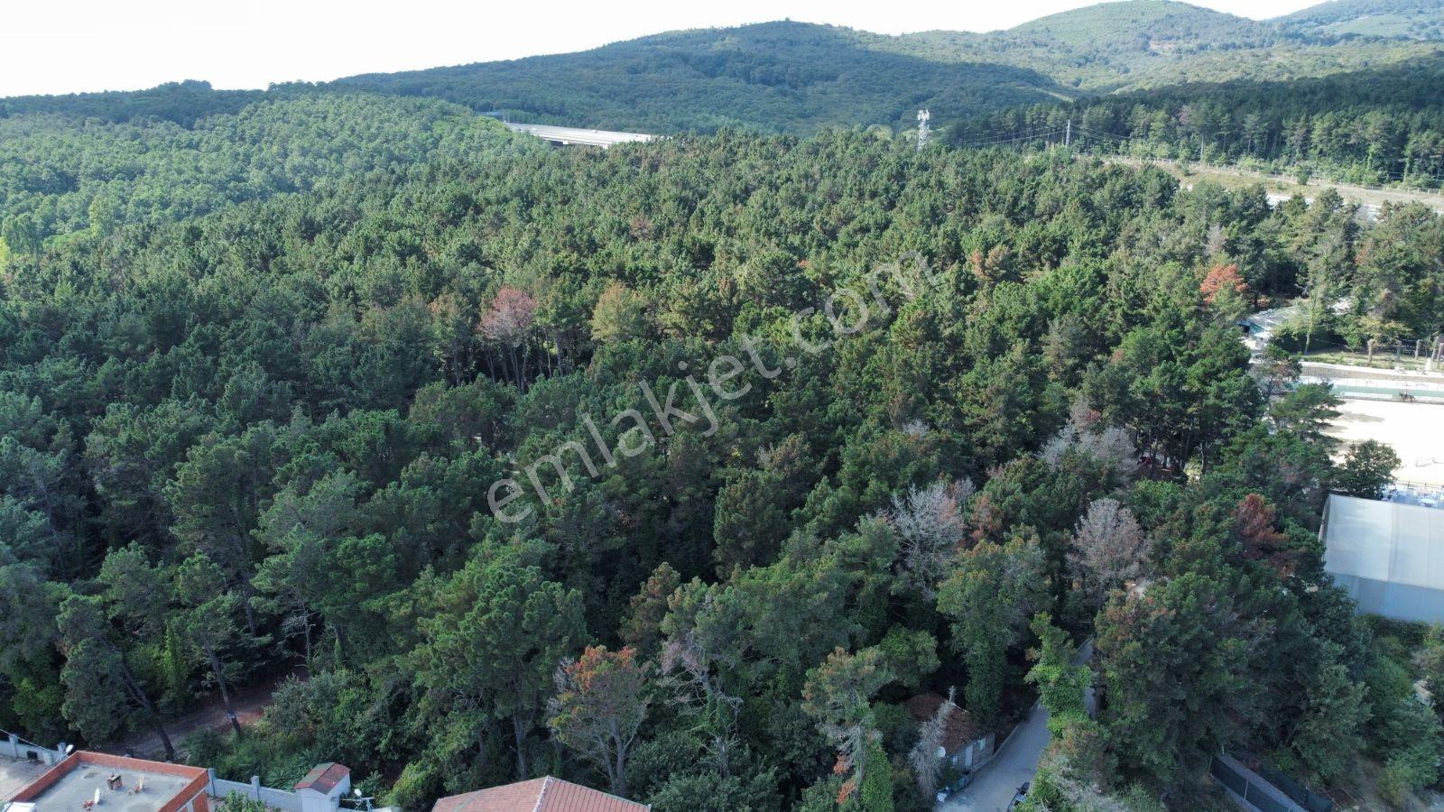 Devlet Hastanesine Yakın Yatırımlık & Apartman Yapmaya Uygun. — fotoğraf 6