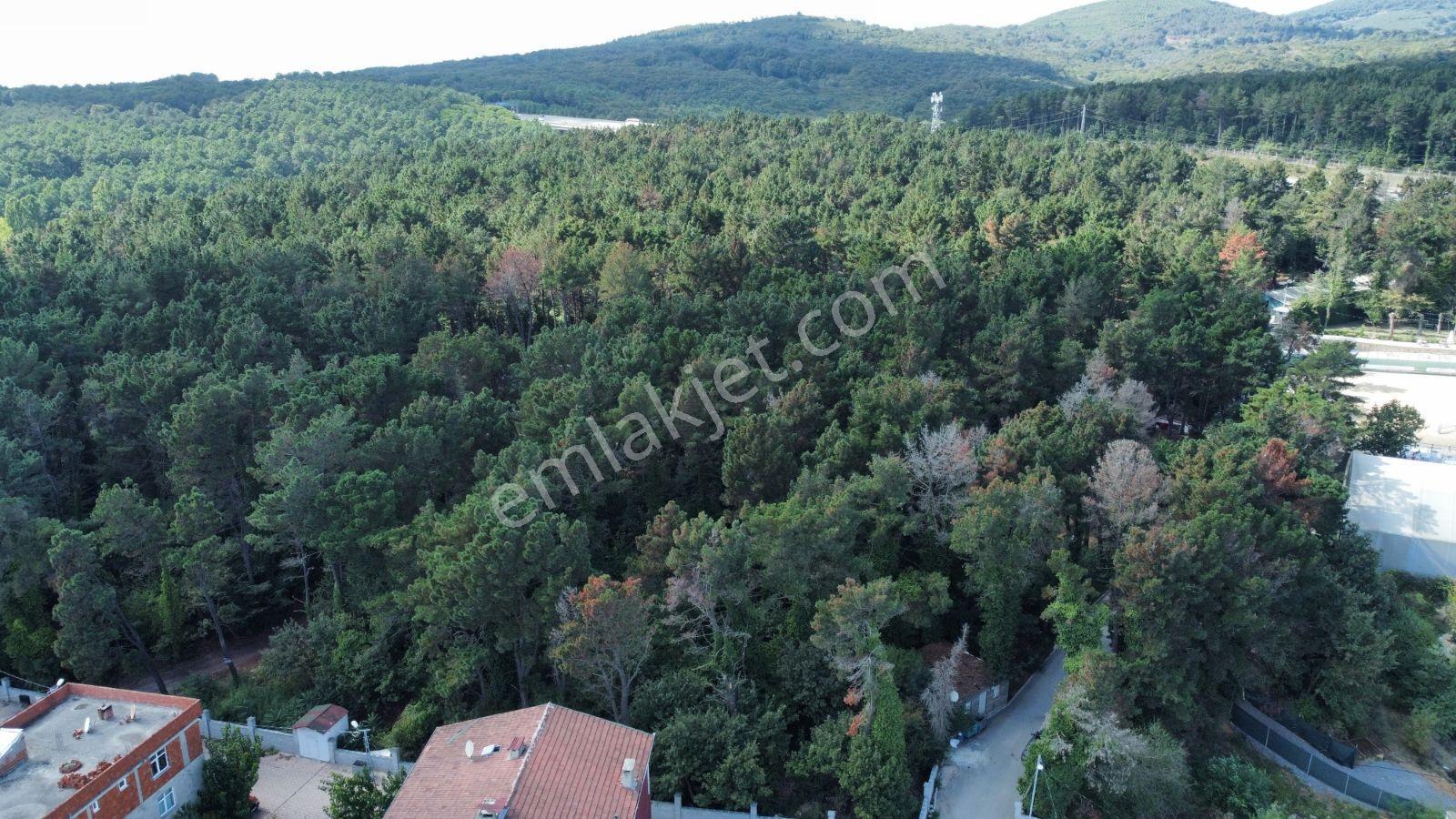 Devlet Hastanesine Yakın Yatırımlık & Apartman Yapmaya Uygun. — fotoğraf 12