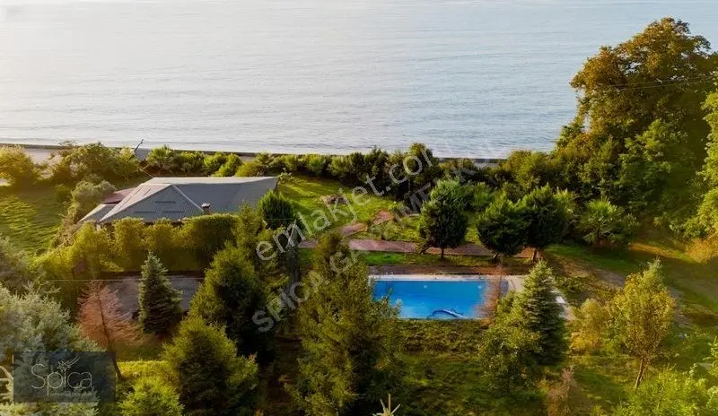 Ardeşen Denize Sıfır 7.067 M2 Arsa Üzerinde 1.500 M2 Tripleks — fotoğraf 3