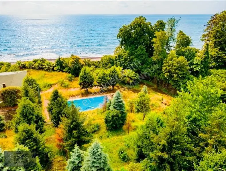 Ardeşen Denize Sıfır 7.067 M2 Arsa Üzerinde 1.500 M2 Tripleks — fotoğraf 5