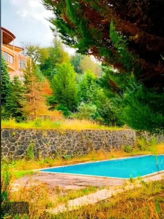 Ardeşen Denize Sıfır 7.067 M2 Arsa Üzerinde 1.500 M2 Tripleks — fotoğraf 6