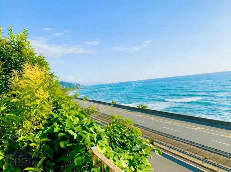 Ardeşen Denize Sıfır 7.067 M2 Arsa Üzerinde 1.500 M2 Tripleks — fotoğraf 9