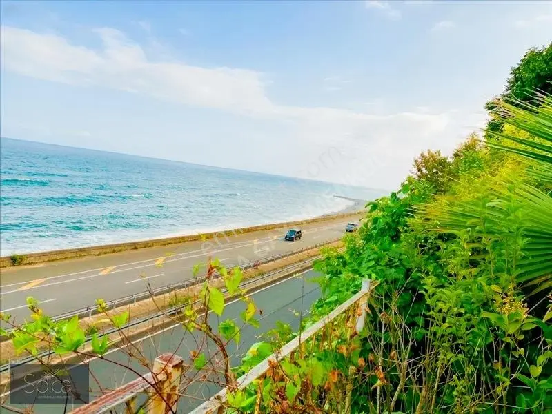 Ardeşen Denize Sıfır 7.067 M2 Arsa Üzerinde 1.500 M2 Tripleks — fotoğraf 10