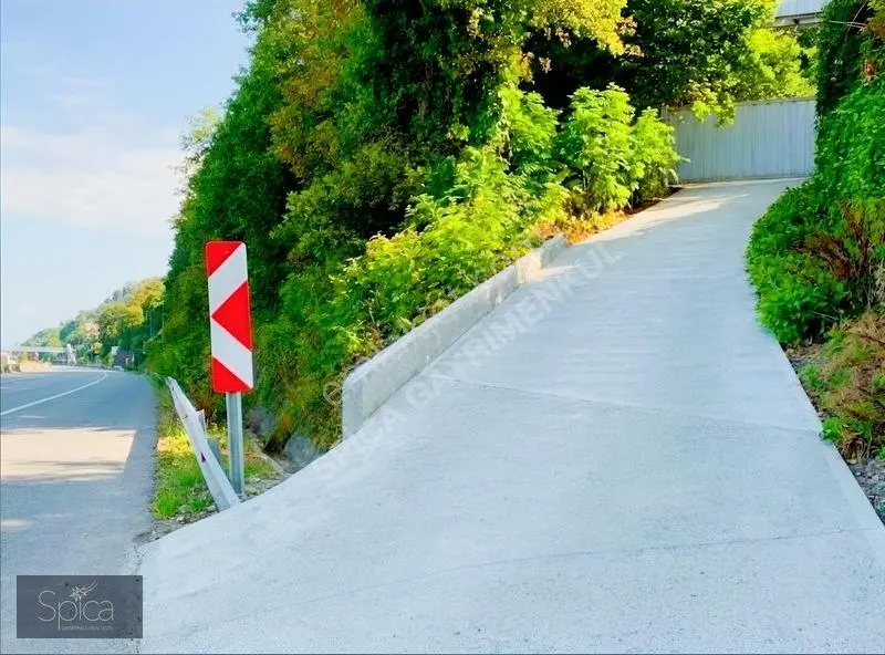Ardeşen Denize Sıfır 7.067 M2 Arsa Üzerinde 1.500 M2 Tripleks — fotoğraf 13