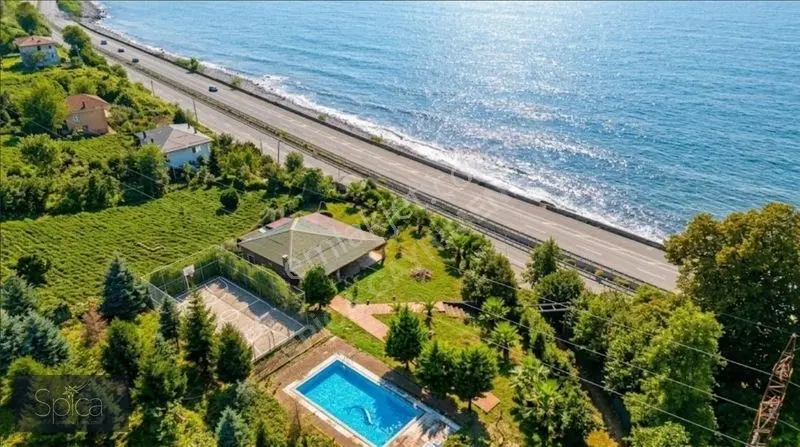 Ardeşen Denize Sıfır 7.067 M2 Arsa Üzerinde 1.500 M2 Tripleks — fotoğraf 14
