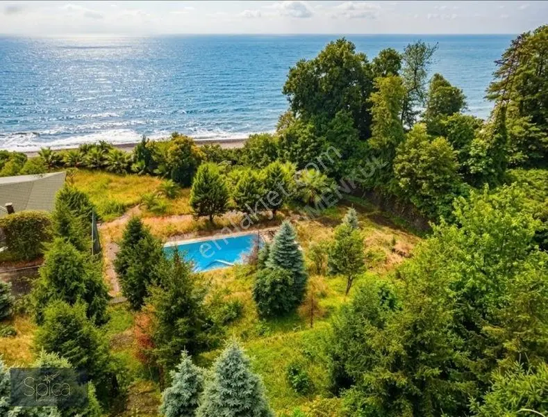 Ardeşen Denize Sıfır 7.067 M2 Arsa Üzerinde 1.500 M2 Tripleks — fotoğraf 18