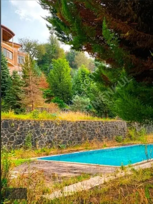 Ardeşen Denize Sıfır 7.067 M2 Arsa Üzerinde 1.500 M2 Tripleks — fotoğraf 19