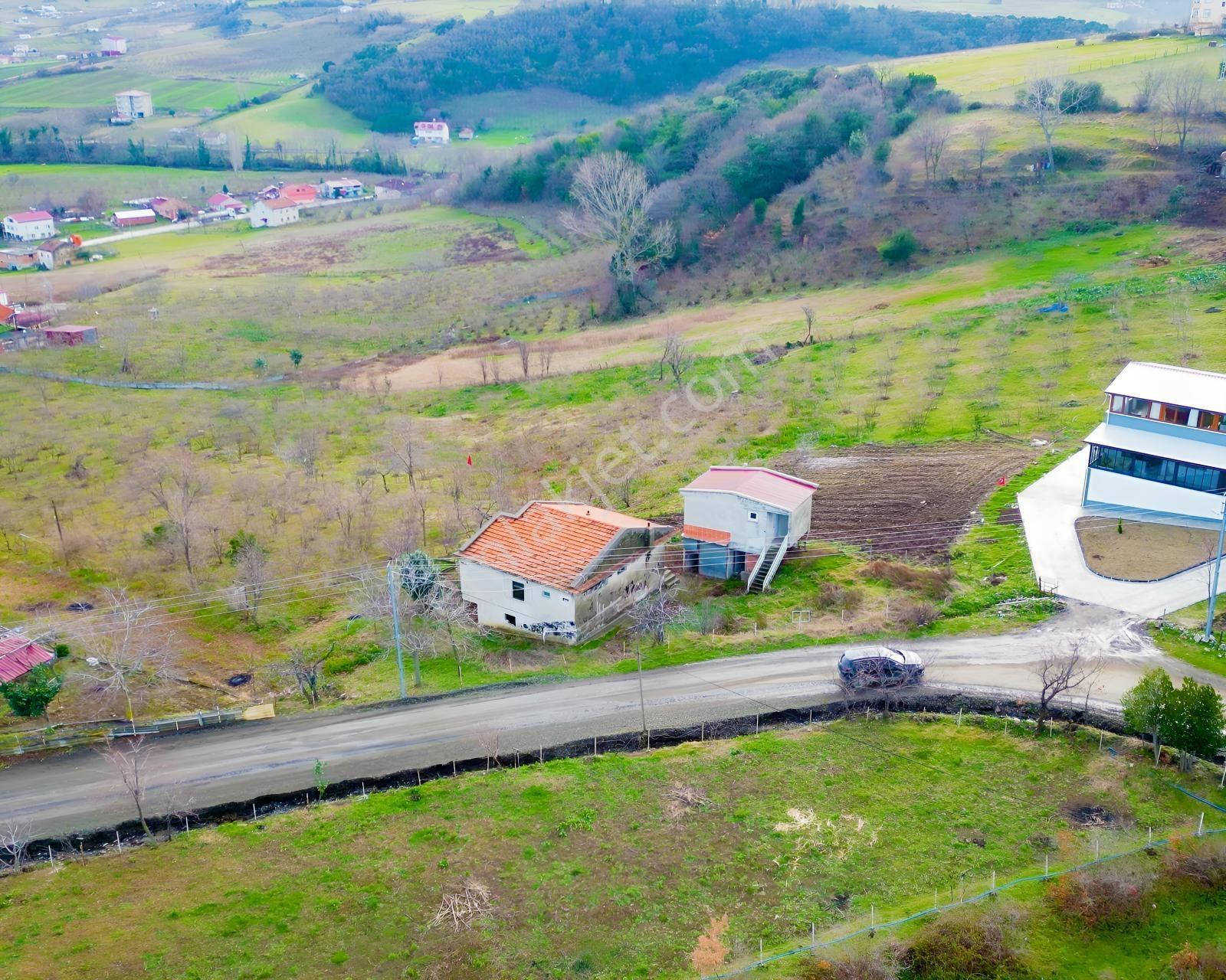 Deneyim'den Atakum Taflan'da İmar Sınırı İçinde 2 Evli Tarla — fotoğraf 6