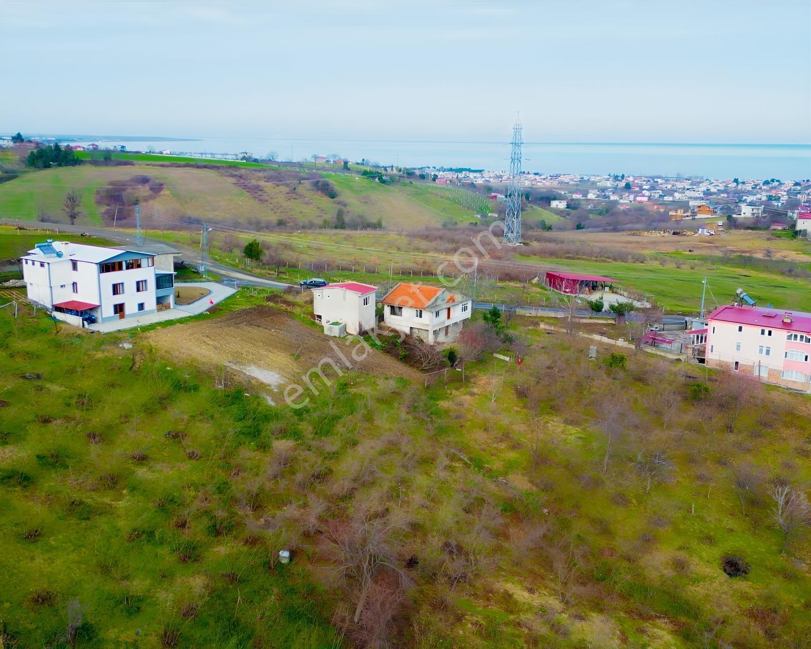 Deneyim'den Atakum Taflan'da İmar Sınırı İçinde 2 Evli Tarla — fotoğraf 7