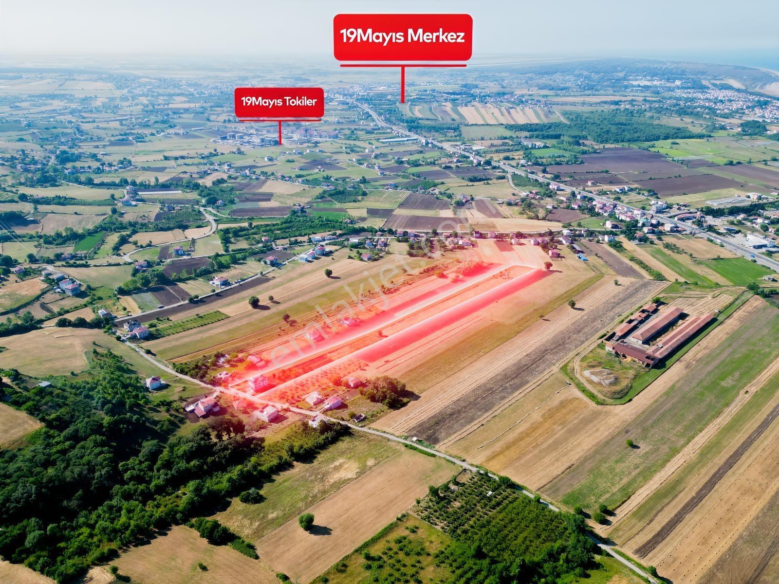 Deneyim'den 19 Mayıs Kertme'de Satılık 11.659 M² Arazi + Yazlık — fotoğraf 2