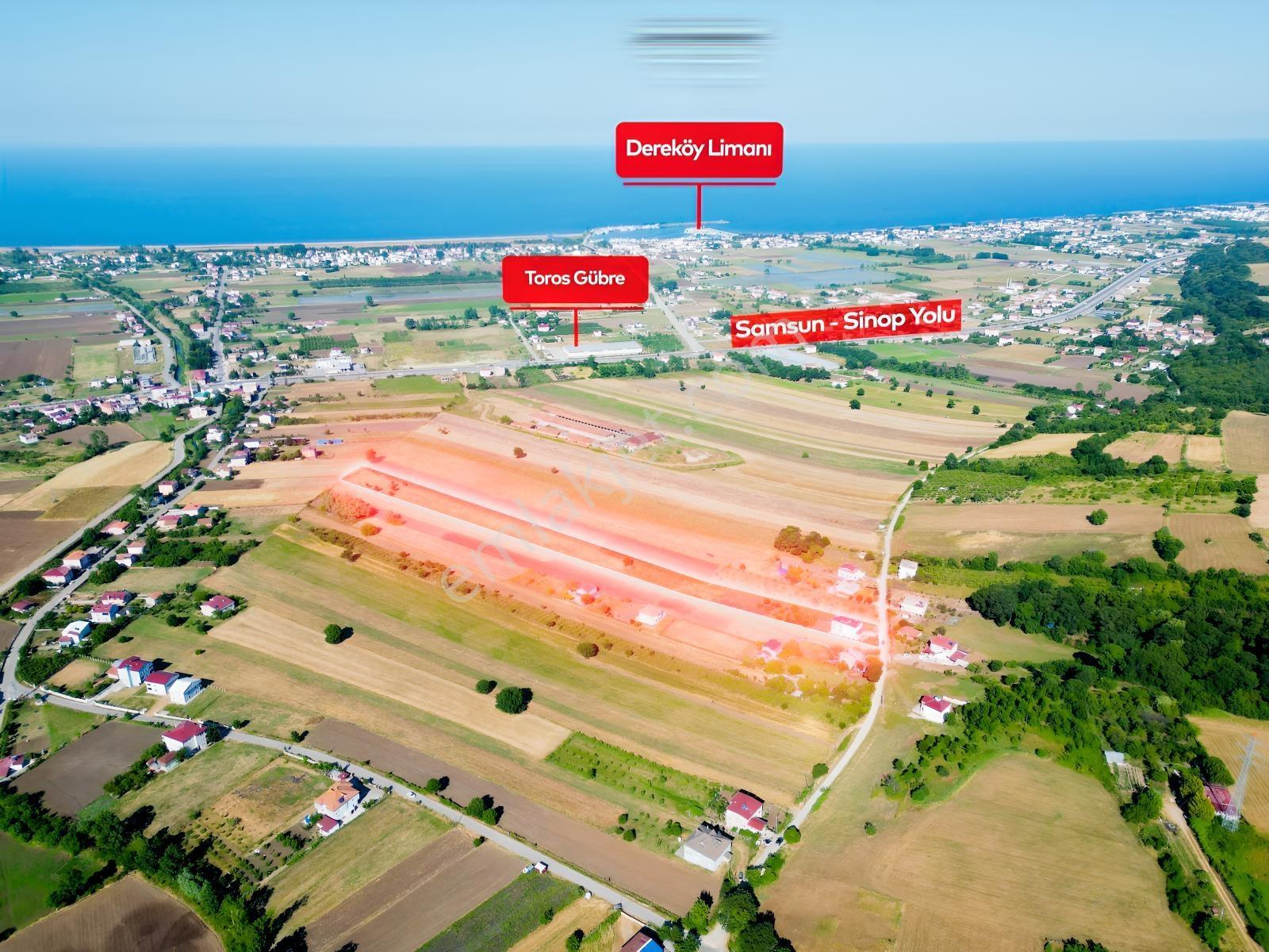 Deneyim'den 19 Mayıs Kertme'de Satılık 11.659 M² Arazi + Yazlık — fotoğraf 3