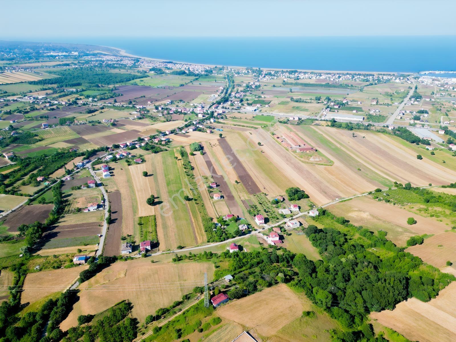 Deneyim'den 19 Mayıs Kertme'de Satılık 11.659 M² Arazi + Yazlık — fotoğraf 4