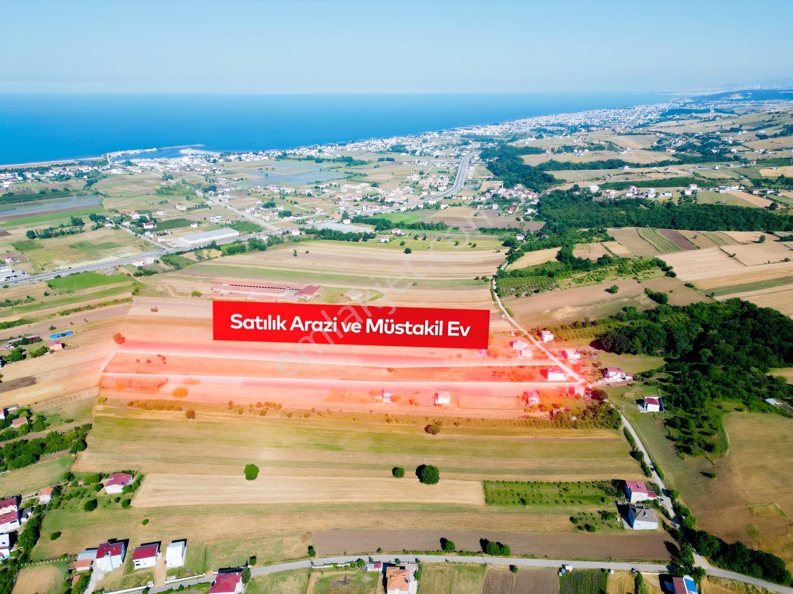 Deneyim'den 19 Mayıs Kertme'de Satılık 11.659 M² Arazi + Yazlık — fotoğraf 5