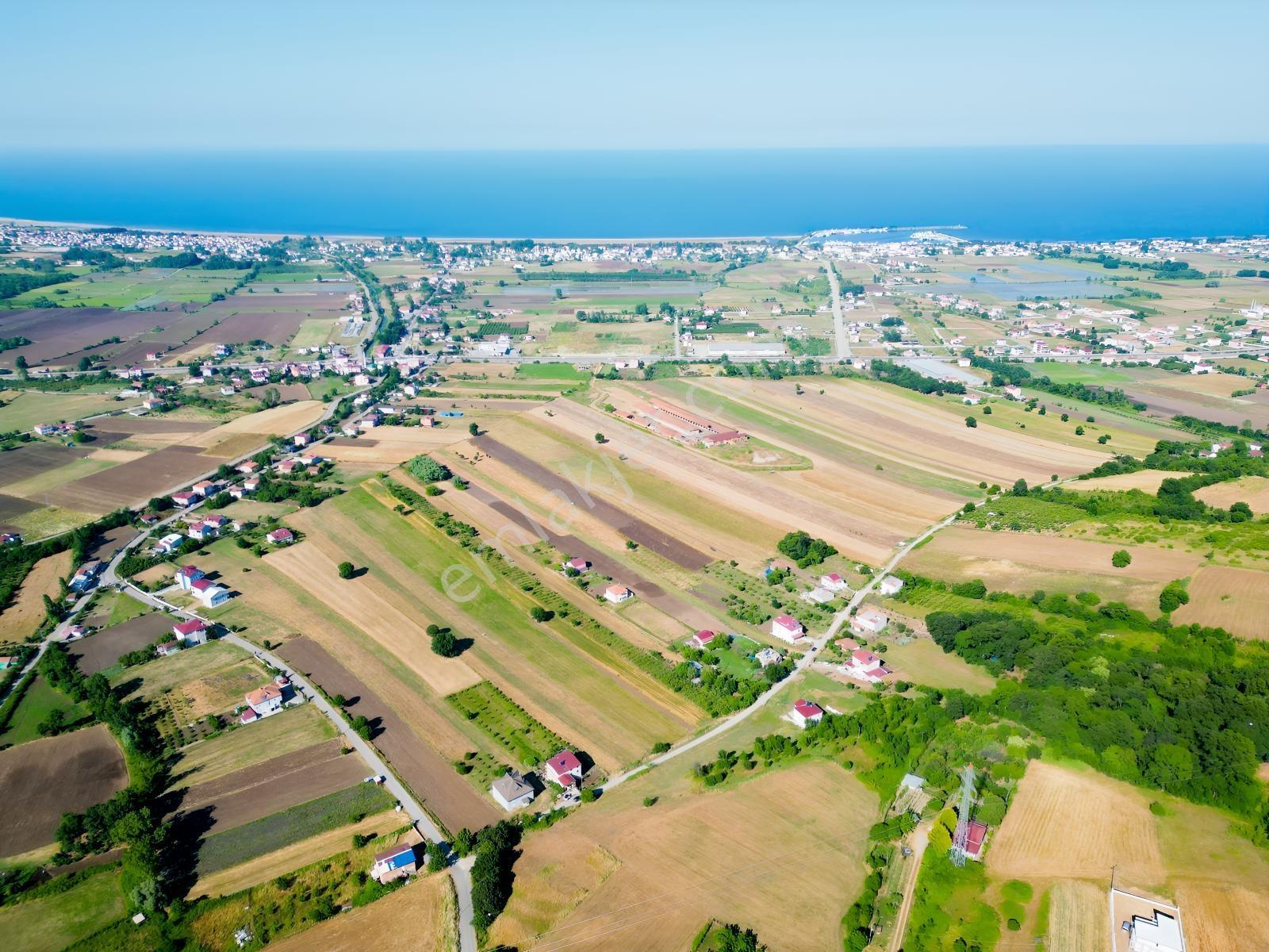 Deneyim'den 19 Mayıs Kertme'de Satılık 11.659 M² Arazi + Yazlık — fotoğraf 6