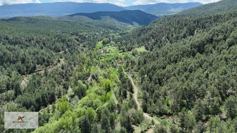 Hem Dereye Hem Yola Sıfır! Kastamonu'Da 411 M² Müstakil Bahçe!