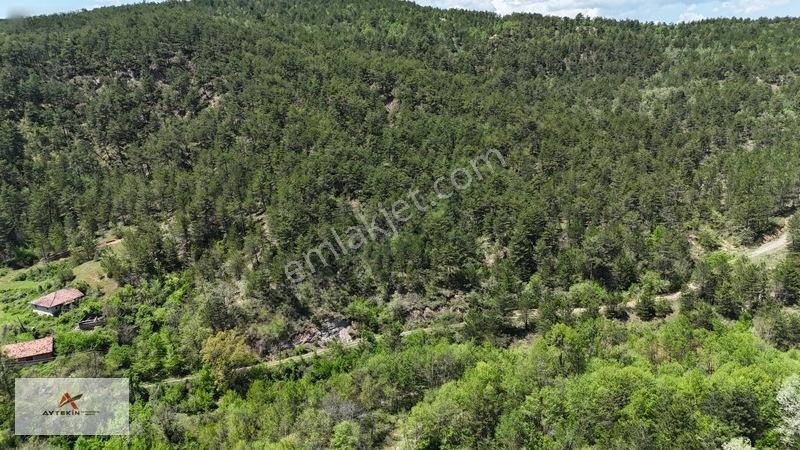 Hem Dereye Hem Yola Sıfır! Kastamonu'da 411 M² Müstakil Bahçe! — fotoğraf 4