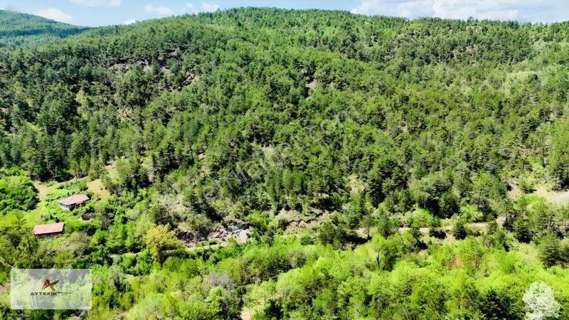 Hem Dereye Hem Yola Sıfır! Kastamonu'da 411 M² Müstakil Bahçe! — fotoğraf 5
