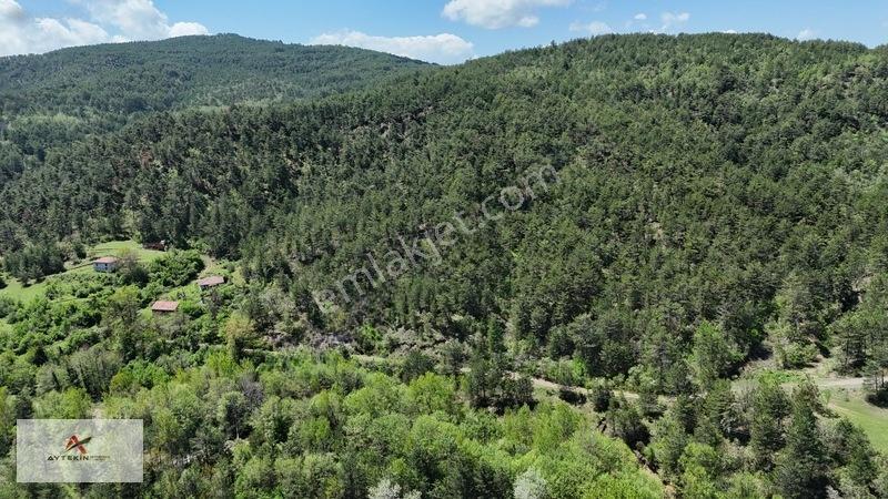 Hem Dereye Hem Yola Sıfır! Kastamonu'da 411 M² Müstakil Bahçe! — fotoğraf 6