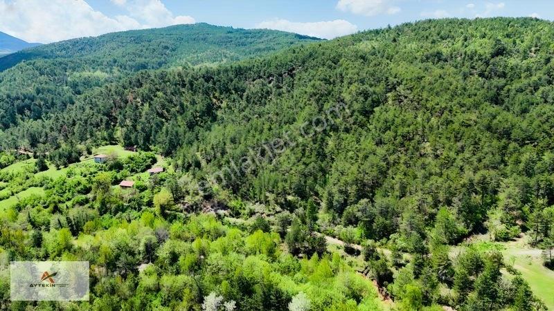 Hem Dereye Hem Yola Sıfır! Kastamonu'da 411 M² Müstakil Bahçe! — fotoğraf 7