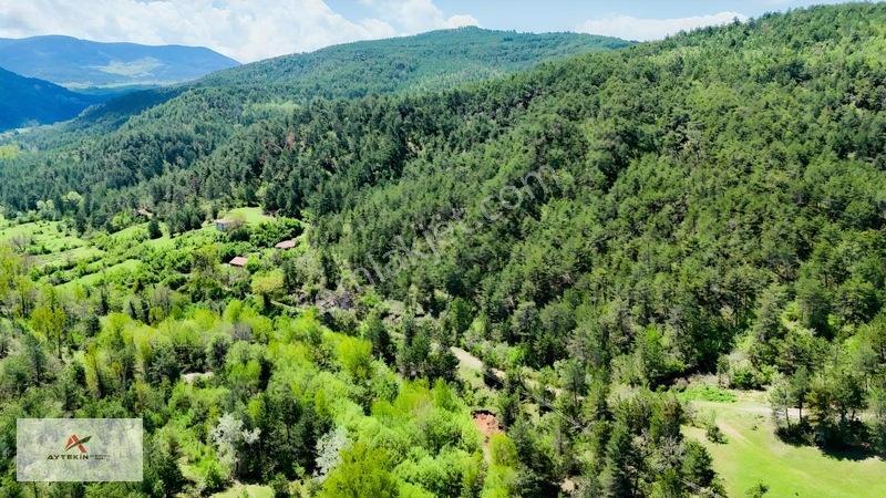 Hem Dereye Hem Yola Sıfır! Kastamonu'da 411 M² Müstakil Bahçe! — fotoğraf 8
